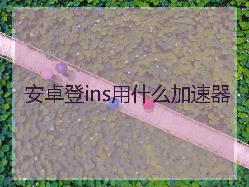 安卓登ins用什么加速器