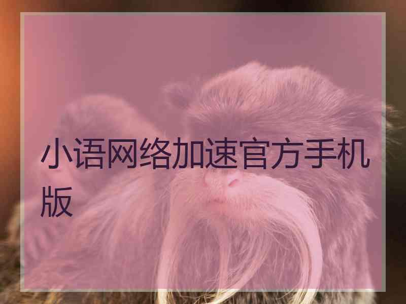 小语网络加速官方手机版