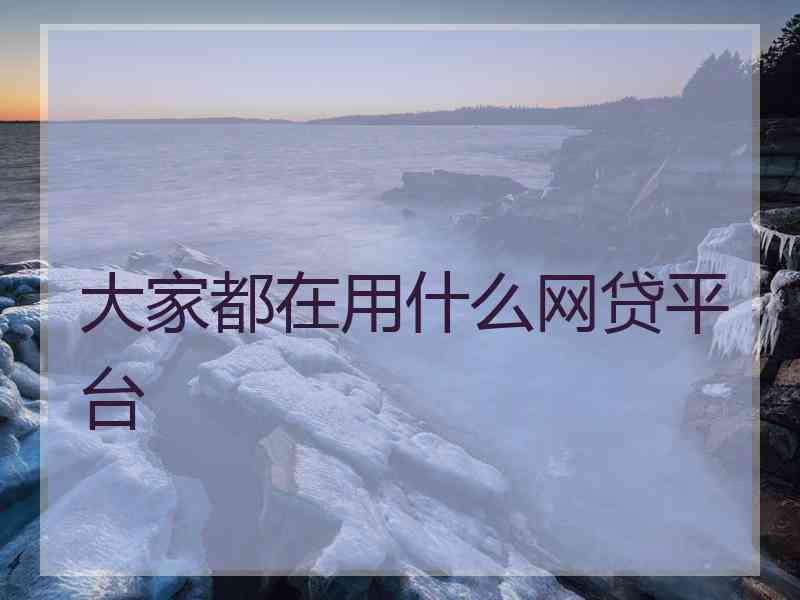 大家都在用什么网贷平台