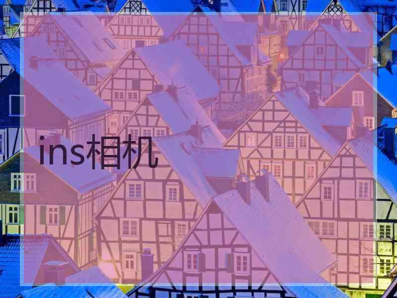 ins相机