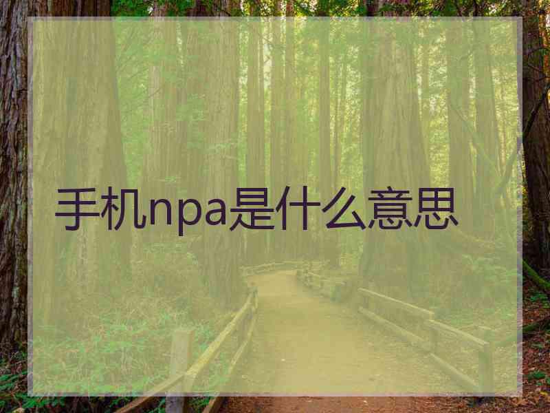 手机npa是什么意思