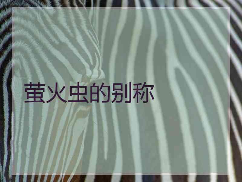 萤火虫的别称