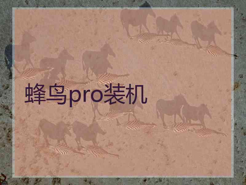 蜂鸟pro装机