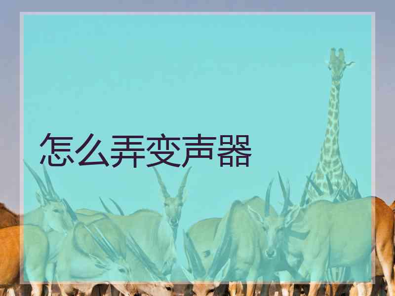怎么弄变声器