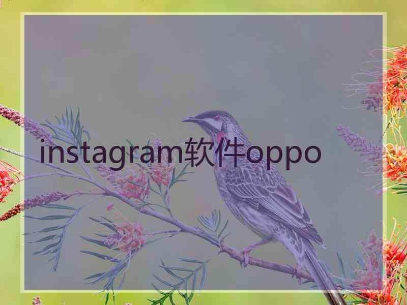 instagram软件oppo