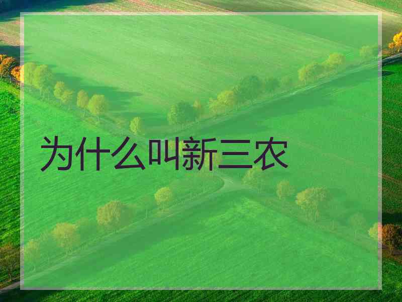 为什么叫新三农