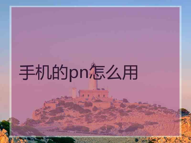 手机的pn怎么用