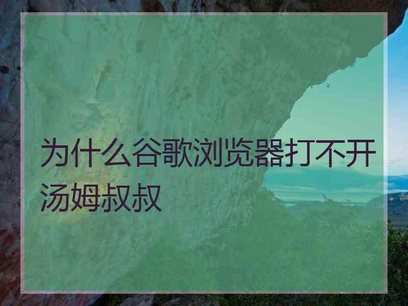 为什么谷歌浏览器打不开汤姆叔叔