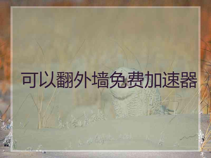 可以翻外墙免费加速器