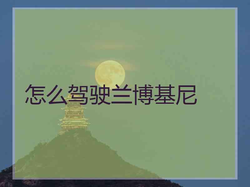 怎么驾驶兰博基尼