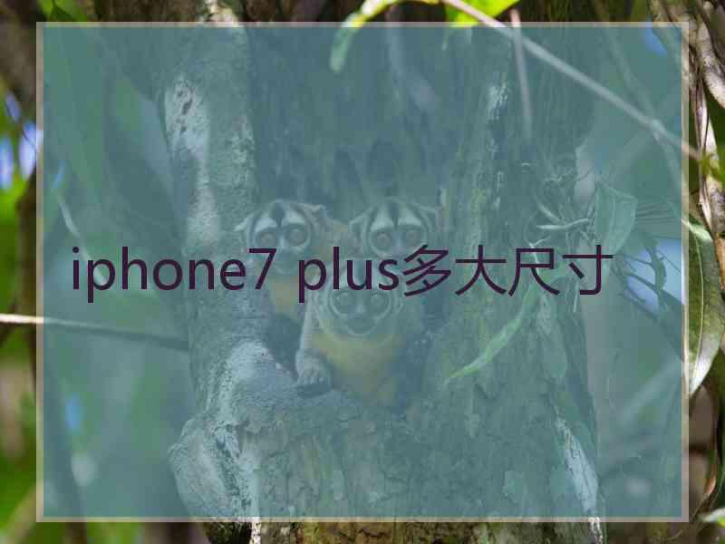 iphone7 plus多大尺寸