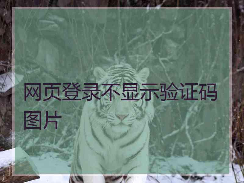 网页登录不显示验证码图片