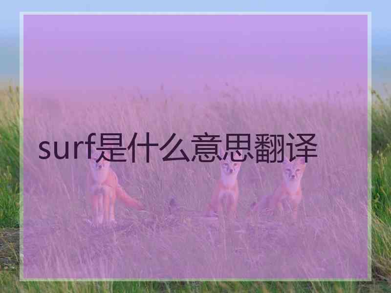 surf是什么意思翻译