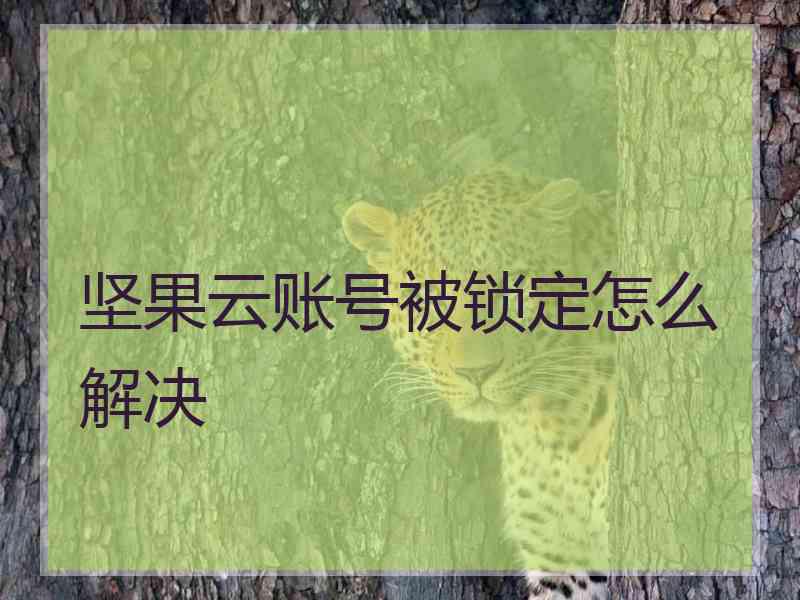 坚果云账号被锁定怎么解决