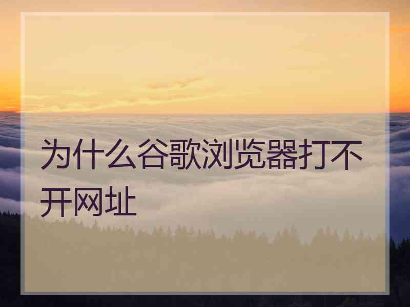 为什么谷歌浏览器打不开网址