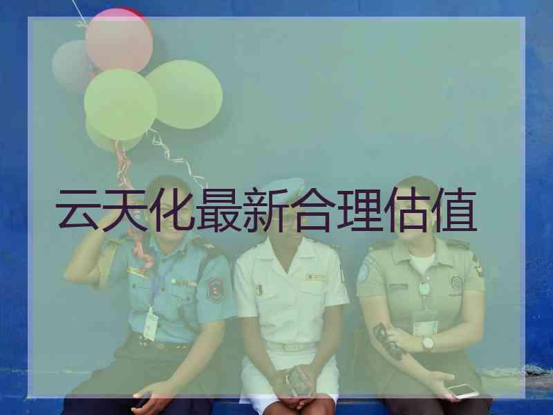 云天化最新合理估值