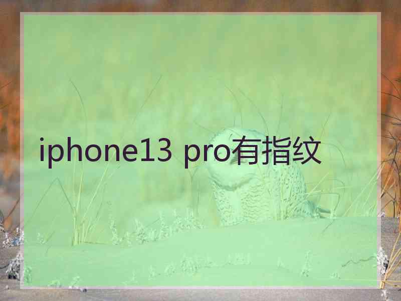 iphone13 pro有指纹