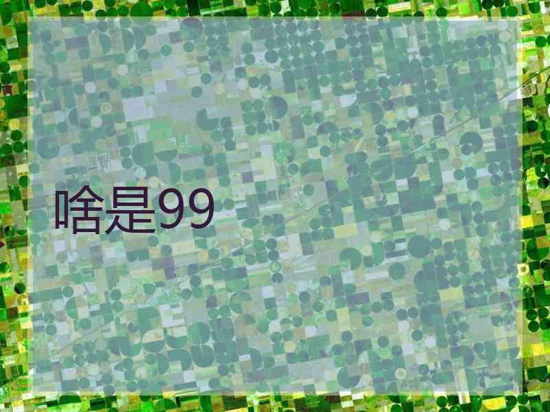 啥是99