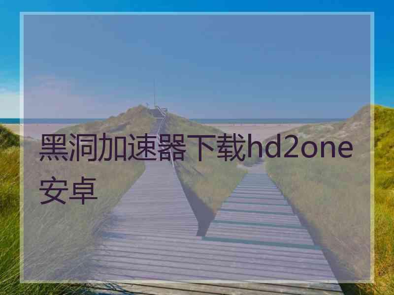 黑洞加速器下载hd2one安卓