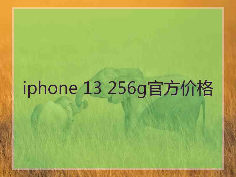 iphone 13 256g官方价格