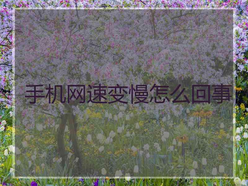 手机网速变慢怎么回事