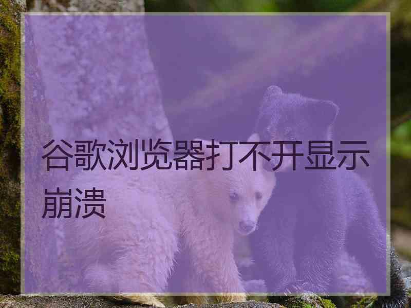 谷歌浏览器打不开显示崩溃