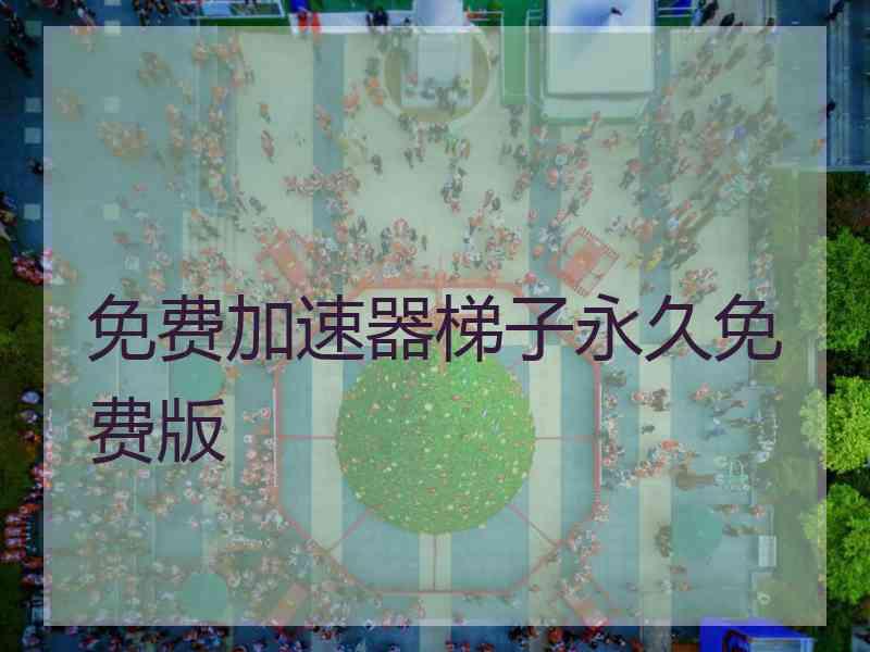 免费加速器梯子永久免费版