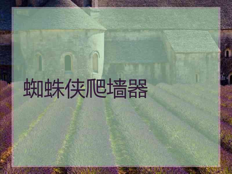 蜘蛛侠爬墙器