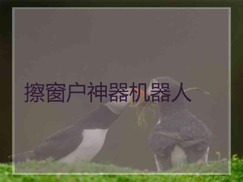 擦窗户神器机器人