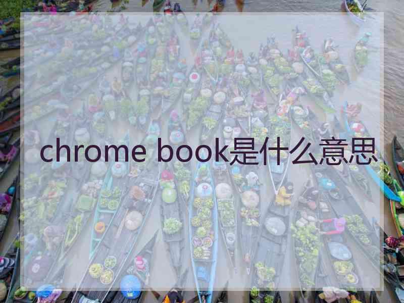 chrome book是什么意思