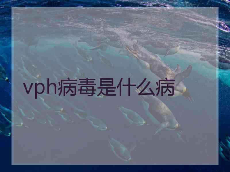 vph病毒是什么病