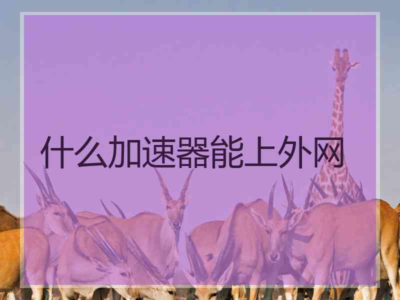 什么加速器能上外网