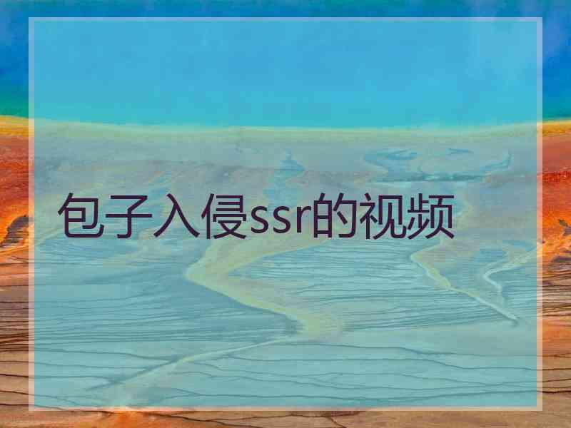 包子入侵ssr的视频
