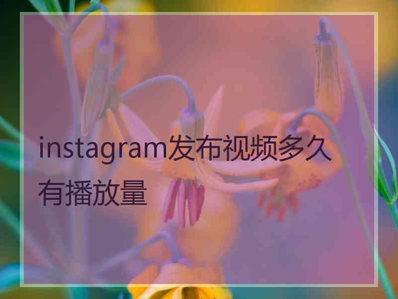 instagram发布视频多久有播放量