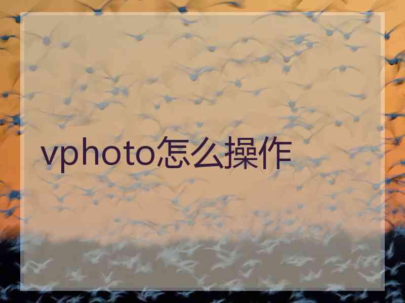 vphoto怎么操作