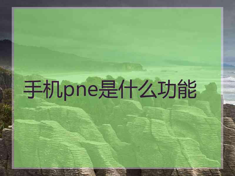 手机pne是什么功能