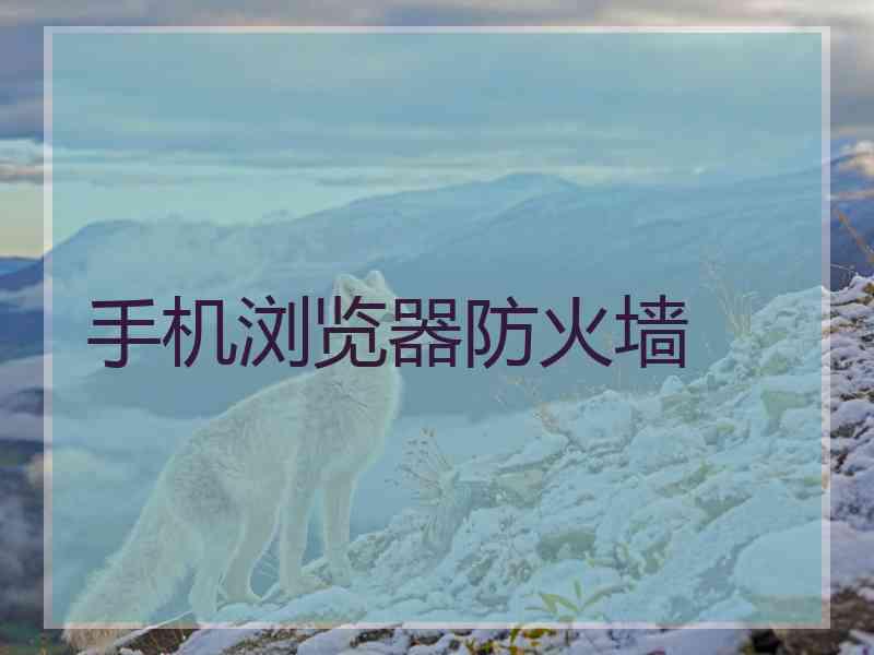 手机浏览器防火墙