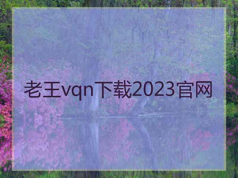 老王vqn下载2023官网