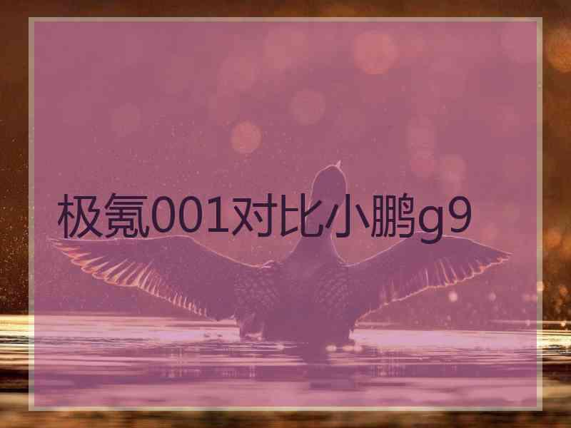 极氪001对比小鹏g9