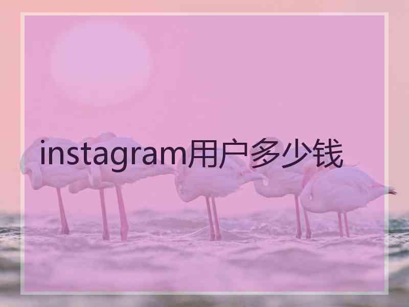instagram用户多少钱