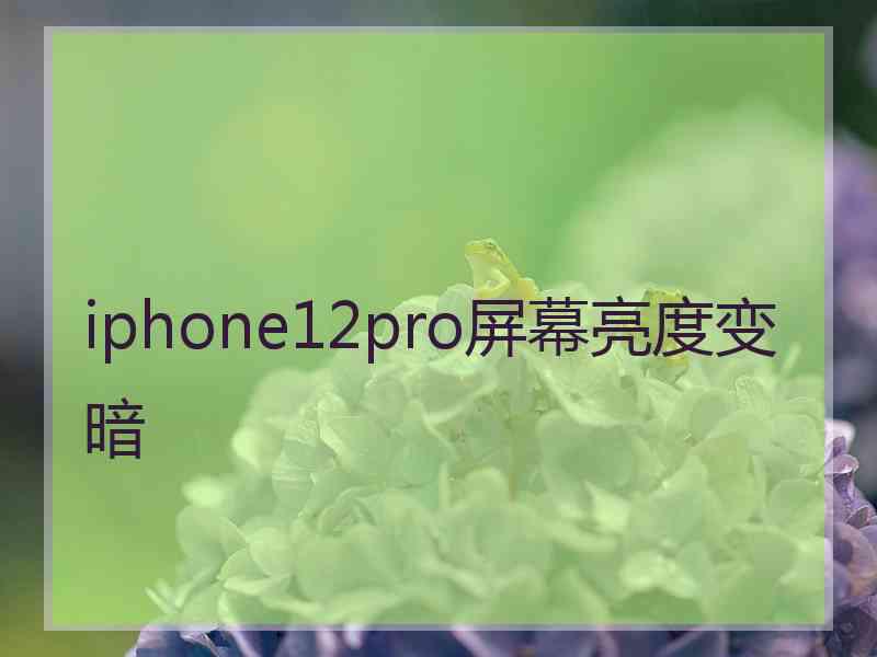 iphone12pro屏幕亮度变暗