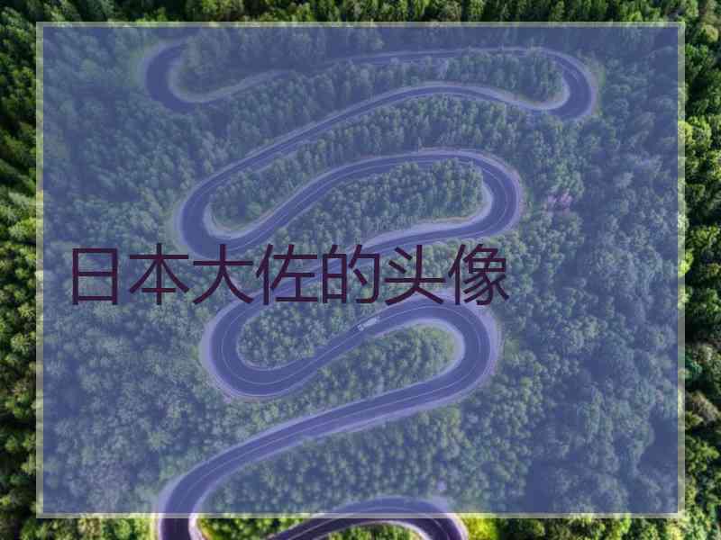 日本大佐的头像