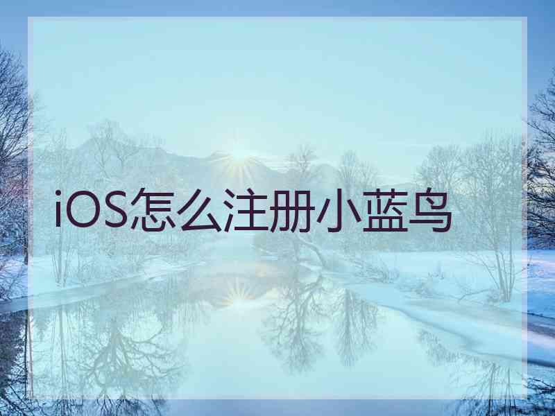 iOS怎么注册小蓝鸟