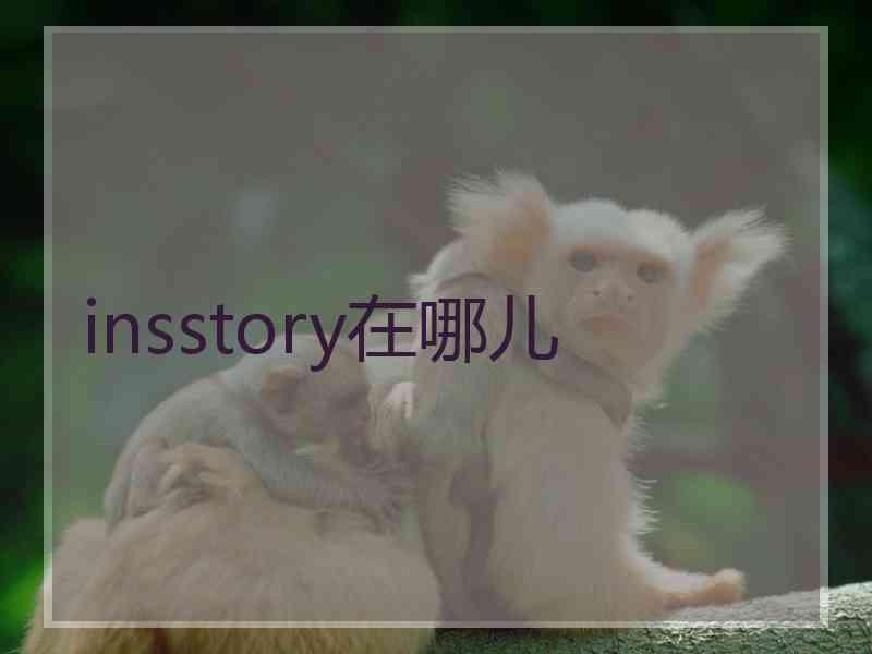 insstory在哪儿