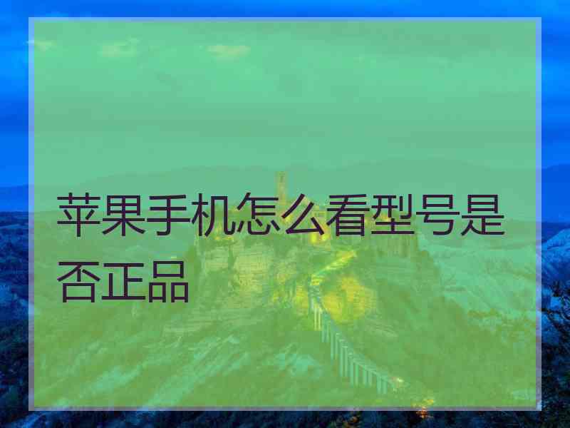 苹果手机怎么看型号是否正品