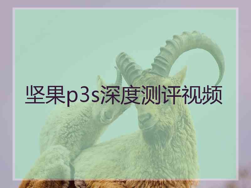 坚果p3s深度测评视频