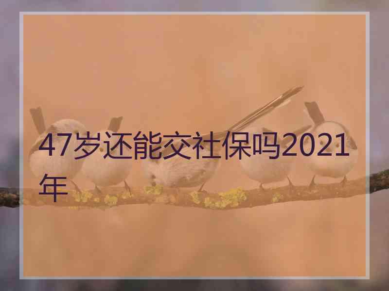 47岁还能交社保吗2021年