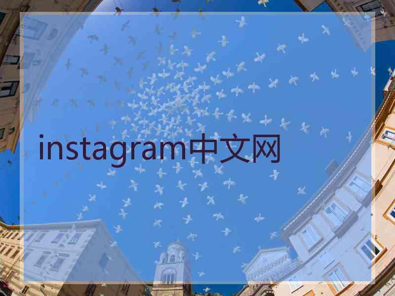 instagram中文网