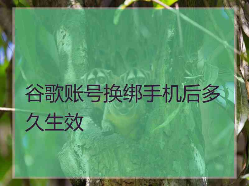 谷歌账号换绑手机后多久生效
