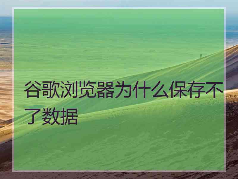 谷歌浏览器为什么保存不了数据
